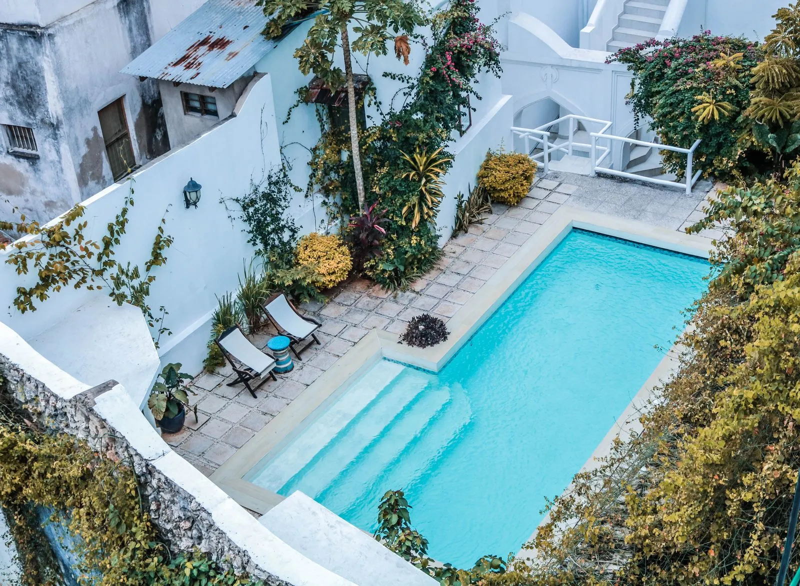 An aerial view of a courtyard pool surrounded by plants